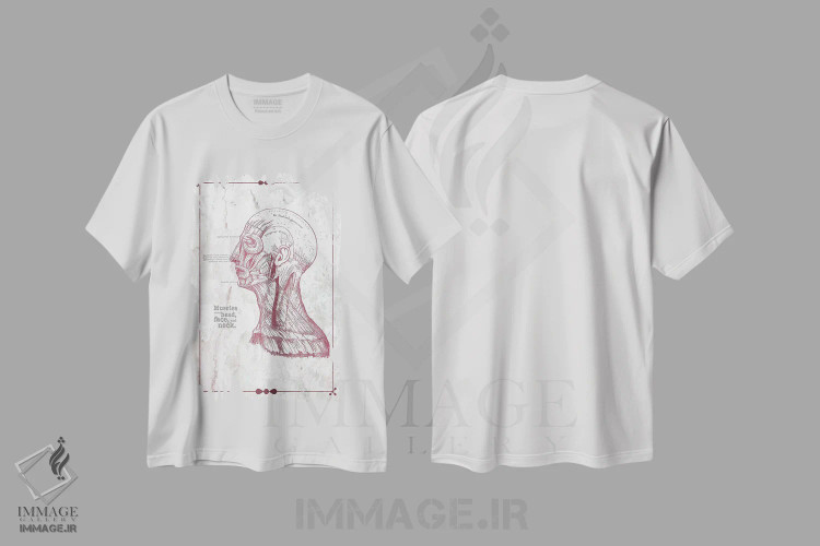 تیشرت سفید طرح دار عضلات سر، صورت و گردن، تزئینی اثر چارت اسمارت دکور | immage.ir