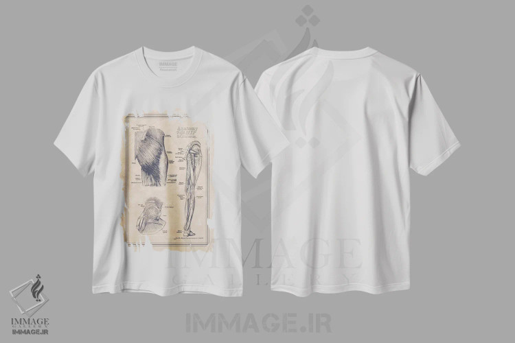 تیشرت سفید طرح دار آناتومی لگن و سرین، تزئینی اثر چارت اسمارت دکور | فروشگاه ایماژ