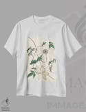 تیشرت سفید طرح دار باغ عاجی ۲، تزئینی اثر کرتیس | immage.ir
