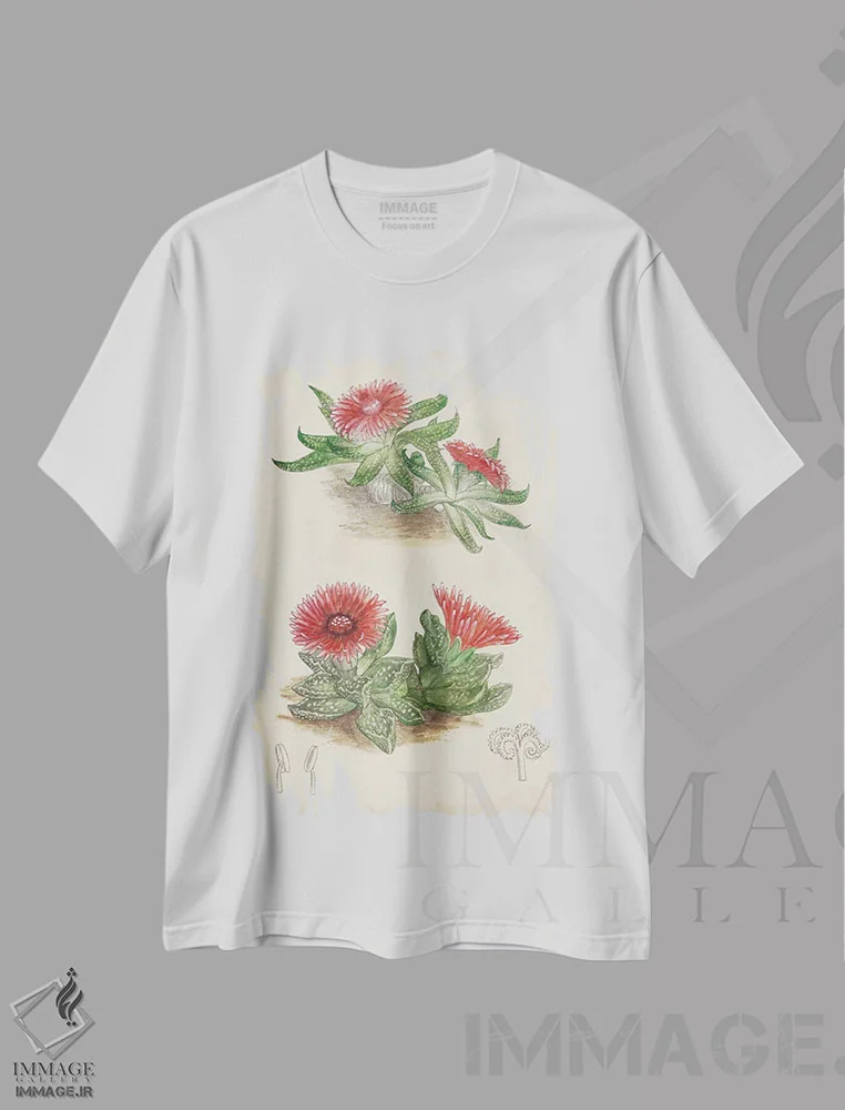 تیشرت سفید طرح دار کاکتوس عتیقه ۵، تزئینی اثر کرتیس | immage.ir