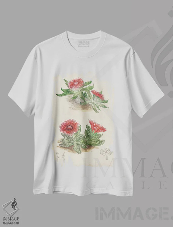 تیشرت سفید طرح دار کاکتوس عتیقه ۵، تزئینی اثر کرتیس | immage.ir