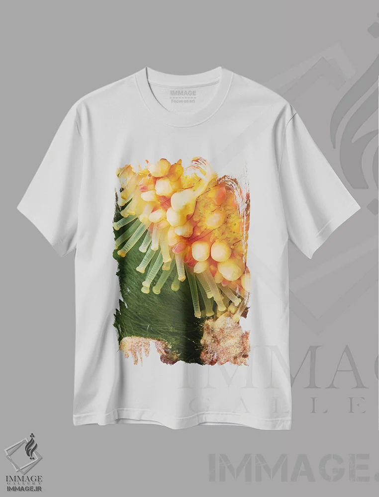 تیشرت سفید طرح دار آثار دیوید فلیتهام - فروشگاه ایماژ