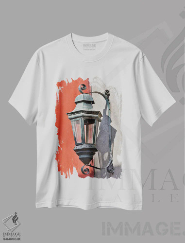 تیشرت سفید طرح دار آثار دارل گالین - immage.ir