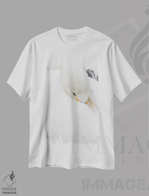 تیشرت سفید طرح دار آثار دارل گالین - immage.ir