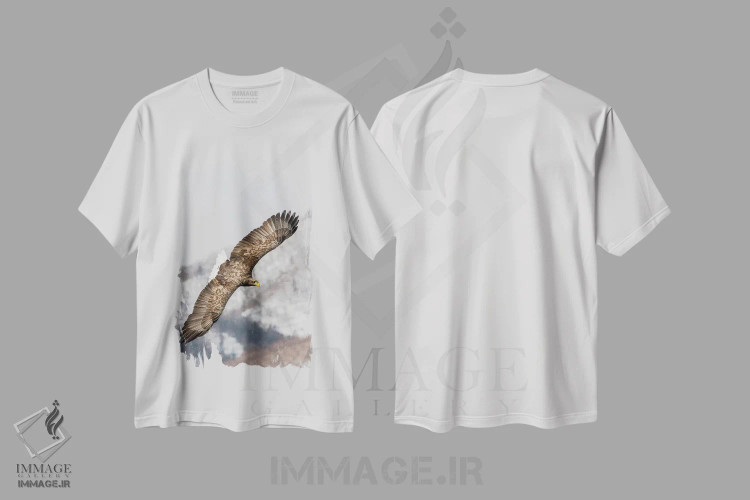 تیشرت سفید طرح دار آثار دارل گالین - فروشگاه ایماژ