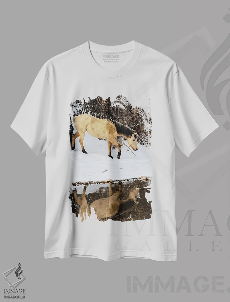 تیشرت سفید طرح دار آثار دارل گالین - immage.ir