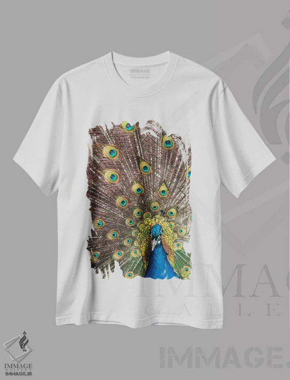 تیشرت سفید طرح دار آثار دارل گالین - immage.ir