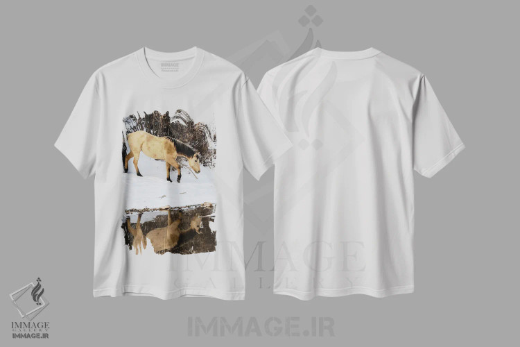 تیشرت سفید طرح دار آثار دارل گالین - immage.ir