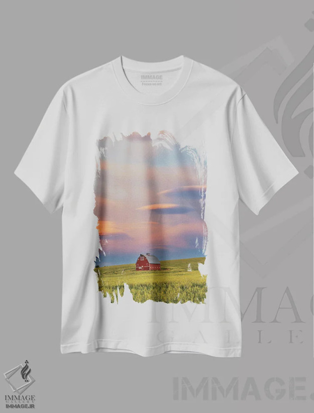 تیشرت سفید طرح دار آثار دارل گالین - immage.ir