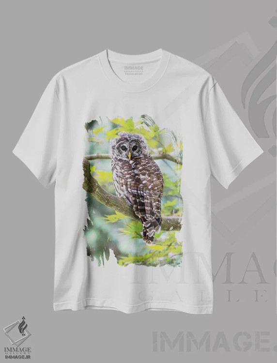 تیشرت سفید طرح دار آثار دارل گالین - immage.ir