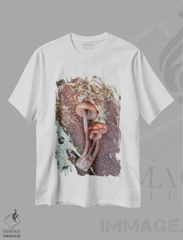 تیشرت سفید طرح دار آثار دارل گالین - immage.ir