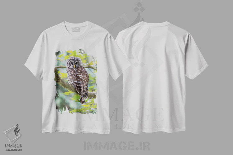 تیشرت سفید طرح دار آثار دارل گالین - immage.ir