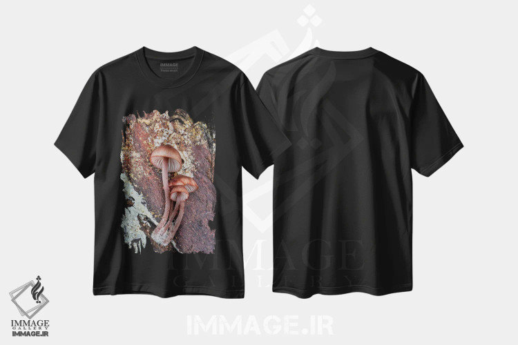 تیشرت مشکی طرح دار آثار دارل گالین - فروشگاه ایماژ