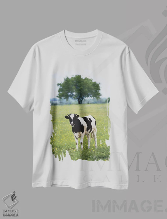 تیشرت سفید طرح دار آثار دارل گالین - immage.ir