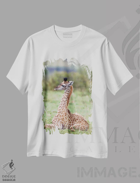 تیشرت سفید طرح دار آثار دارل گالین - immage.ir