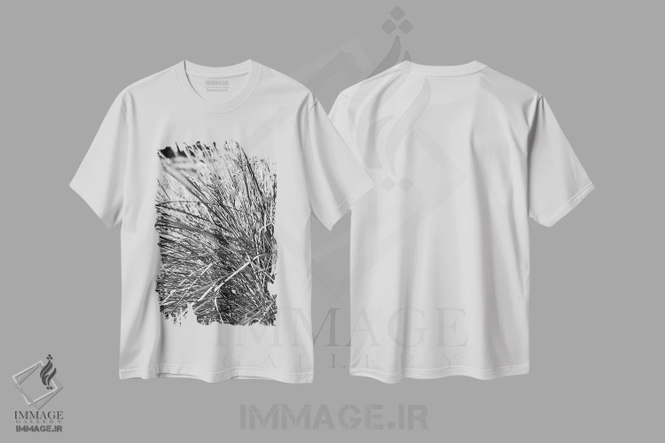 تیشرت سفید طرح دار عکاسی انتزاعی برگ های گیاه سیاه و سفید، عکاسی سیاه و سفید اثر پیج ترنر | فروشگاه ایماژ