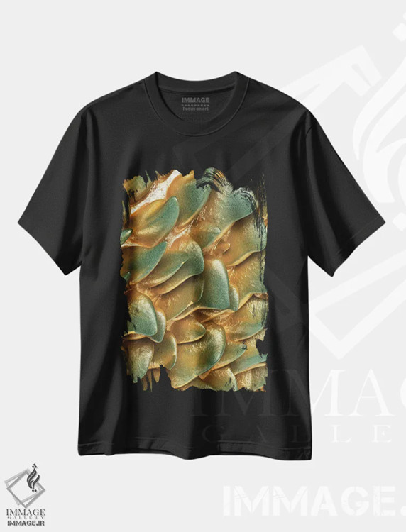تیشرت مشکی طرح دار سنگ طلایی اثر دنی ایوان | فروشگاه ایماژ