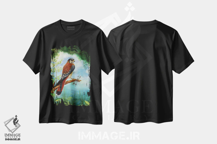 تیشرت مشکی طرح دار جنگجوی کوچک، تزئینی اثر دیوید جواکین | فروشگاه ایماژ