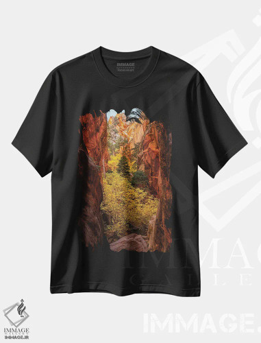 تیشرت مشکی طرح دار دره پاییزی زایان، مدیوم اثر داستین لِفور | فروشگاه ایماژ