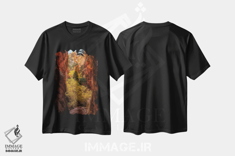 تیشرت مشکی طرح دار دره پاییزی زایان، مدیوم اثر داستین لِفور | فروشگاه ایماژ