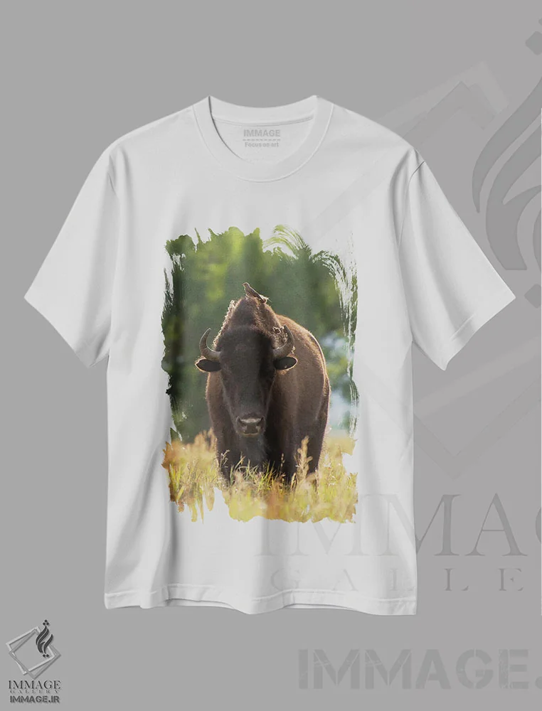 تیشرت سفید طرح دار نشسته، مدیوم اثر داستین لِفور | فروشگاه ایماژ