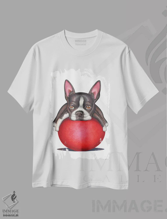 تیشرت سفید طرح دار تریر بوستون، تزئینی اثر دنی گوردون | immage.ir