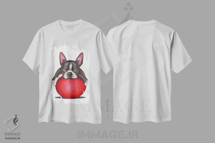 تیشرت سفید طرح دار تریر بوستون، تزئینی اثر دنی گوردون | immage.ir