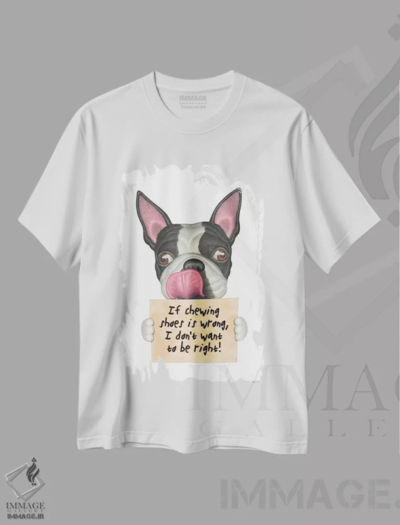 تیشرت سفید طرح دار تریر بوستون: نمی خواهم حق با من باشد، تزئینی اثر دنی گوردون | فروشگاه ایماژ