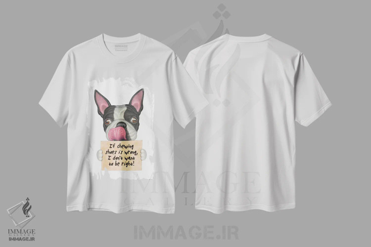 تیشرت سفید طرح دار تریر بوستون: نمی خواهم حق با من باشد، تزئینی اثر دنی گوردون | فروشگاه ایماژ
