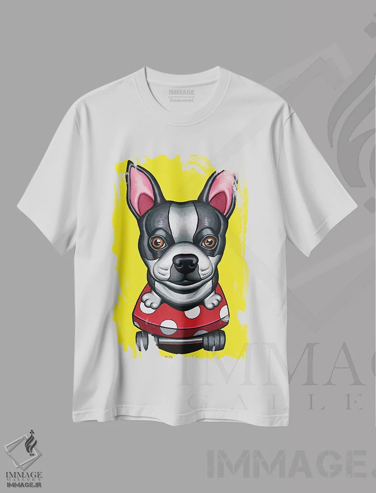 تیشرت سفید طرح دار تریر بوستون روی اسکیت بورد، تزئینی اثر دنی گوردون | immage.ir