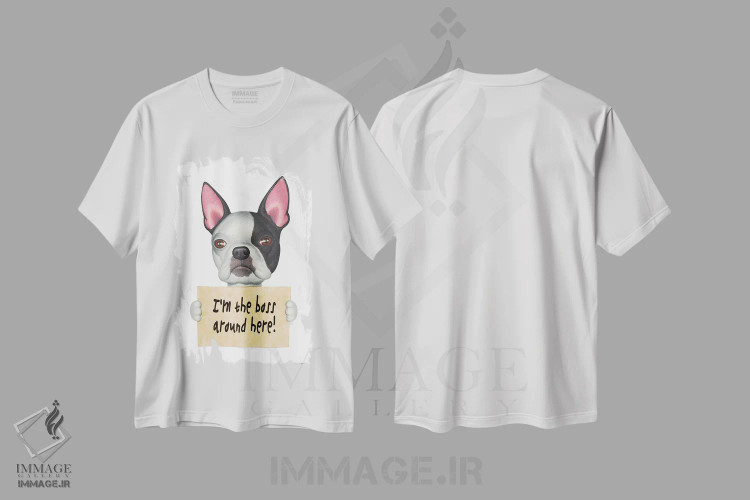 تیشرت سفید طرح دار تریر بوستون: من رئیس هستم، تزئینی اثر دنی گوردون | فروشگاه ایماژ