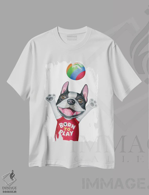 تیشرت سفید طرح دار تریر بوستون با توپ، تزئینی اثر دنی گوردون | فروشگاه ایماژ