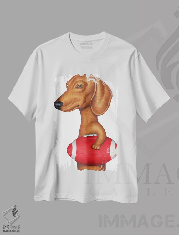 تیشرت سفید طرح دار داشهوند با توپ فوتبال، تزئینی اثر دنی گوردون | immage.ir
