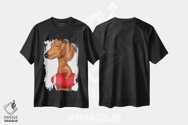 تیشرت مشکی طرح دار داشهوند با توپ فوتبال، تزئینی اثر دنی گوردون | فروشگاه ایماژ