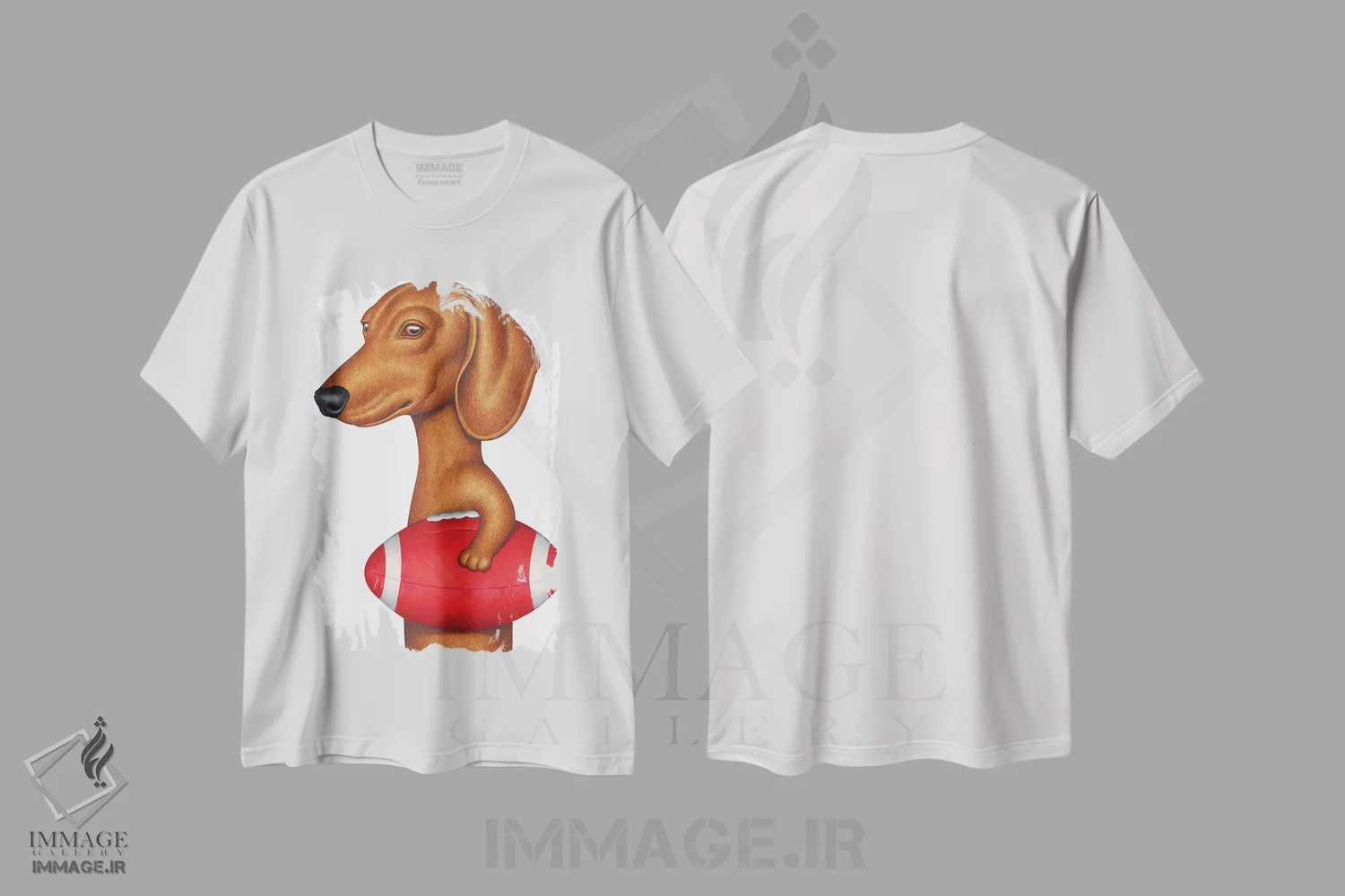 تیشرت سفید طرح دار داشهوند با توپ فوتبال، تزئینی اثر دنی گوردون | immage.ir