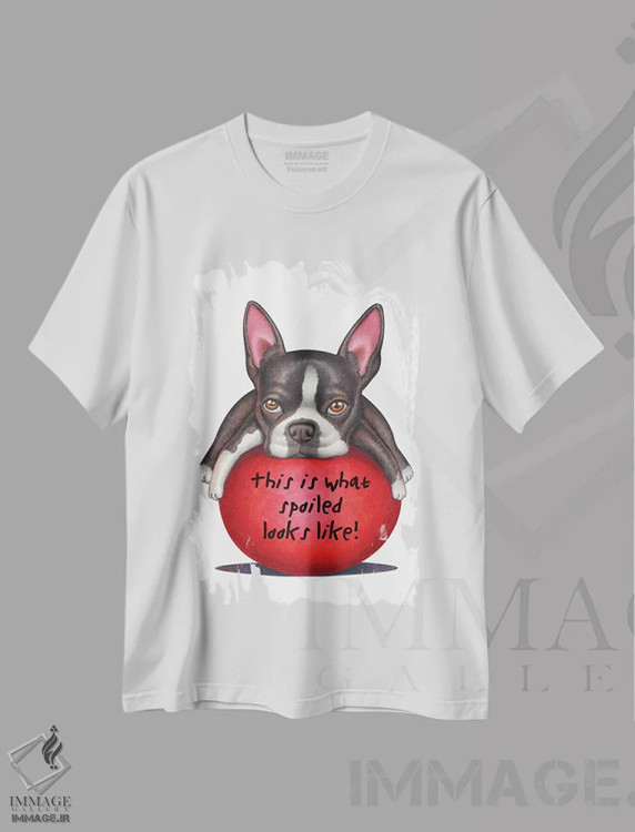 تیشرت سفید طرح دار تریر بوستون: لوس همینطور به نظر میاد، تزئینی اثر دنی گوردون | فروشگاه ایماژ