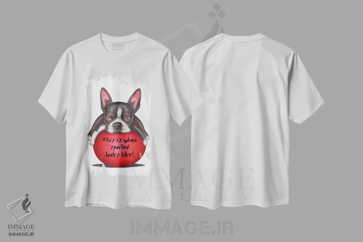 تیشرت سفید طرح دار تریر بوستون: لوس همینطور به نظر میاد، تزئینی اثر دنی گوردون | فروشگاه ایماژ