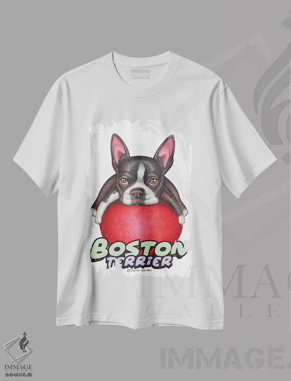 تیشرت سفید طرح دار تریر بوستون با توپ قرمز، دست نقاشی و طراحی دستی اثر دنی گوردون | فروشگاه ایماژ
