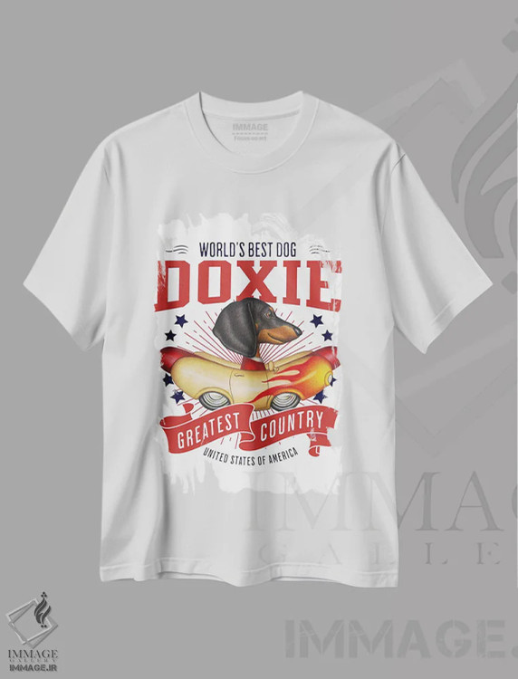 تیشرت سفید طرح دار داشهوند در خودروی هات داگ شعله دار آمریکا، هنر دیجیتال اثر دنی گوردون | فروشگاه ایماژ