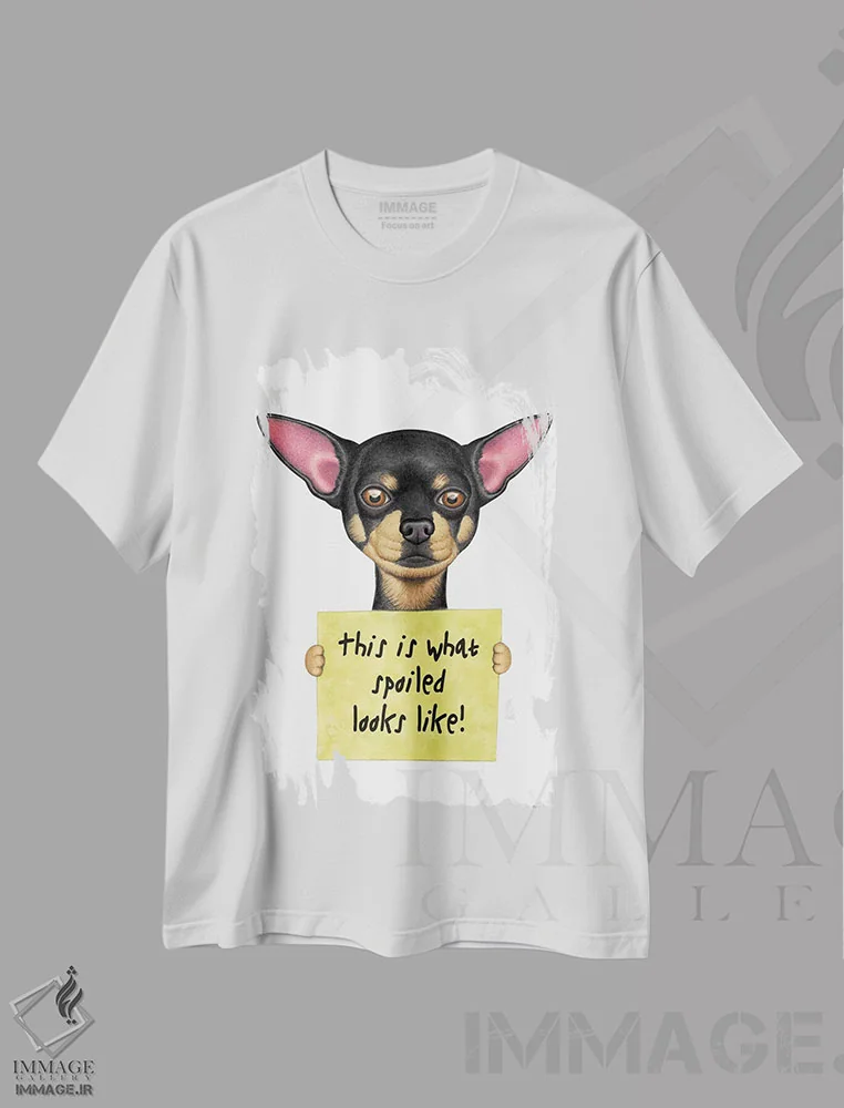 تیشرت سفید طرح دار چی هواهوا قیافه لوس شده، تزئینی اثر دنی گوردون | فروشگاه ایماژ