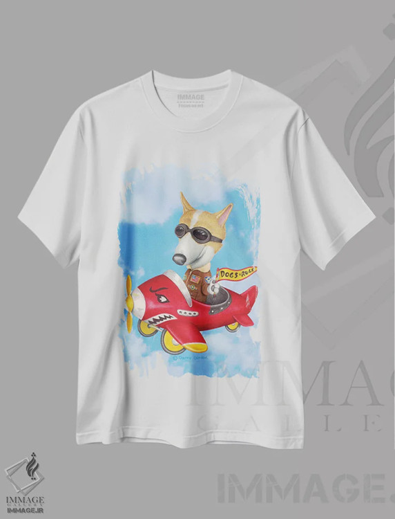 تیشرت سفید طرح دار کورگی در هواپیما با پس زمینه آسمان، هنر دیجیتال اثر دنی گوردون | immage.ir