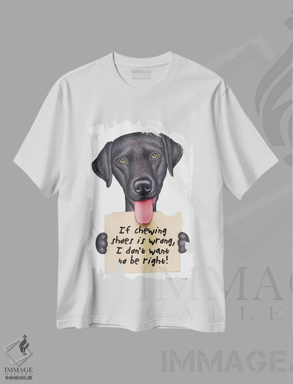 تیشرت سفید طرح دار لابرادور رتریور: نمی خوام حق با من باشه - مشکی، تزئینی اثر دنی گوردون | immage.ir