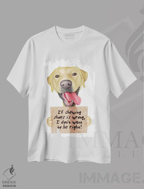 تیشرت سفید طرح دار لابرادور رتریور: نمی خوام حق با من باشه - طلایی، تزئینی اثر دنی گوردون | immage.ir