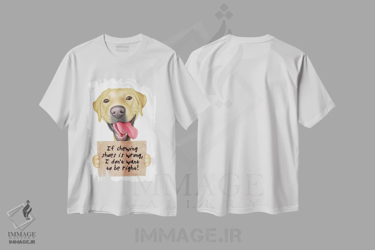 تیشرت سفید طرح دار لابرادور رتریور: نمی خوام حق با من باشه - طلایی، تزئینی اثر دنی گوردون | immage.ir