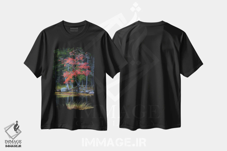 تیشرت مشکی طرح دار انعکاس های قرمز ۱، مدیوم اثر دنی هد | immage.ir