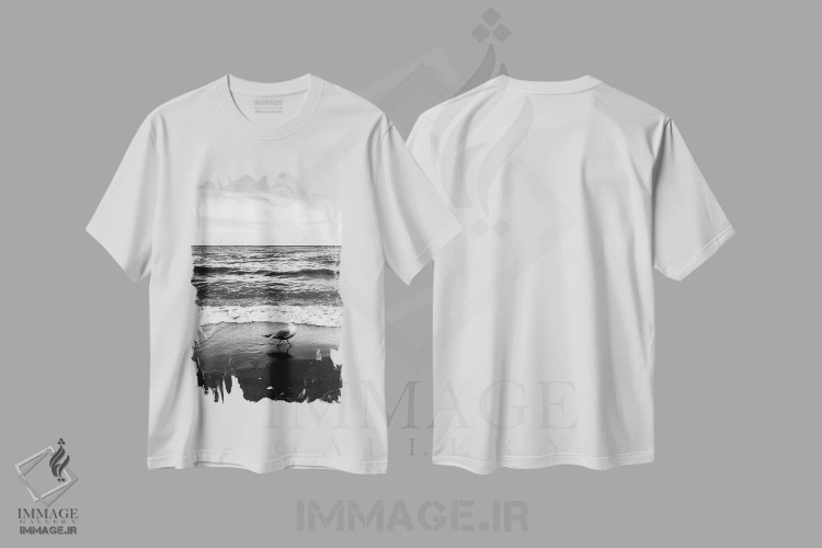 تیشرت سفید طرح دار مرغ دریایی I، دکور ساحلی اثر دانی کوئلن | immage.ir