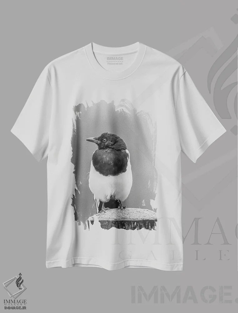 تیشرت سفید طرح دار کلاغ پیک در باران اثر دن اسپرول | immage.ir