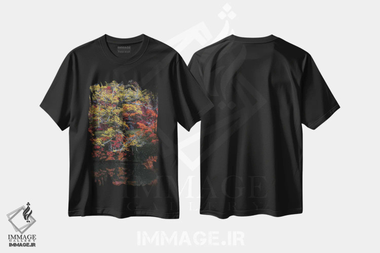 تیشرت مشکی طرح دار پاییز در ژاپن بیست و پنجم، مدیوم اثر دایسوکه اوئه ماتسو | فروشگاه ایماژ