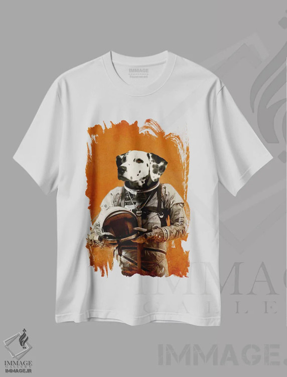 تیشرت سفید طرح دار شکست گزینه نیست اثر دورو آرت | immage.ir