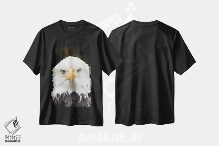 تیشرت مشکی طرح دار عقاب باشکوه، تزئینی اثر دیوید گاردینر | immage.ir
